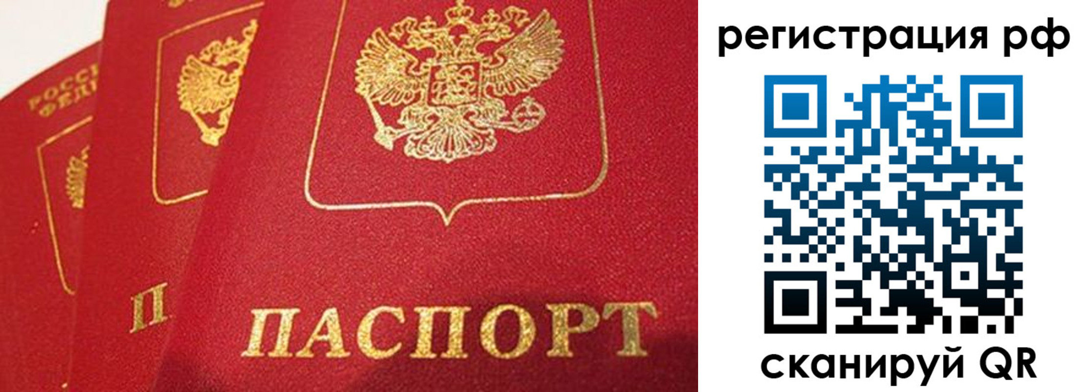 прописка поиск в Сергиевом Посаде